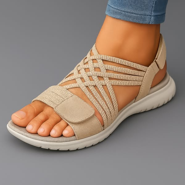 Beige / 41